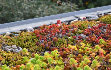 the cost of Thorpe In The Glebe green roof installation