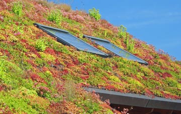 Thorpe In The Glebe living roof systems