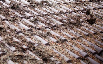 Thorpe In The Glebe roof cleaning companies