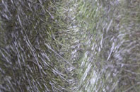 Thorpe In The Glebe fibreglass roof work